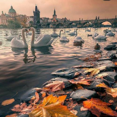 دروغو دوست داری نگو نه تو دروغو دوست داری اه